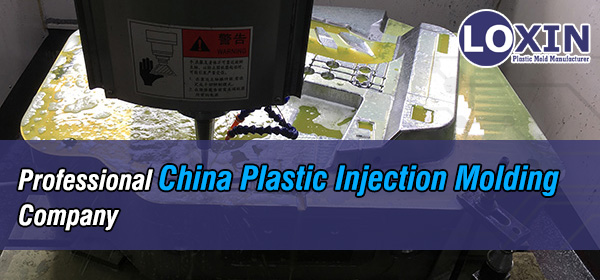 Professional-China-Plastic-Injection-Molding-Company-LOXIN-Mold